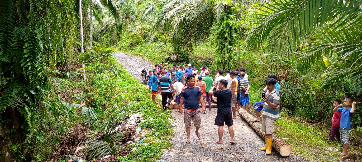 IMG_20221211_130032_289