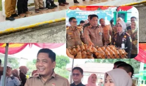 IMG_20260303_155317_897