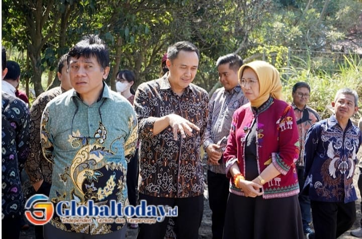 IMG-20260719-WA0003