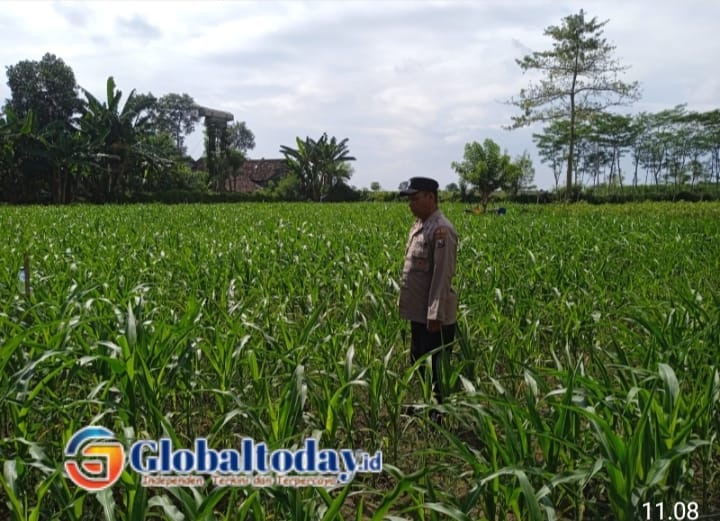 IMG-20260719-WA0006